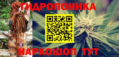 гидра Тверь