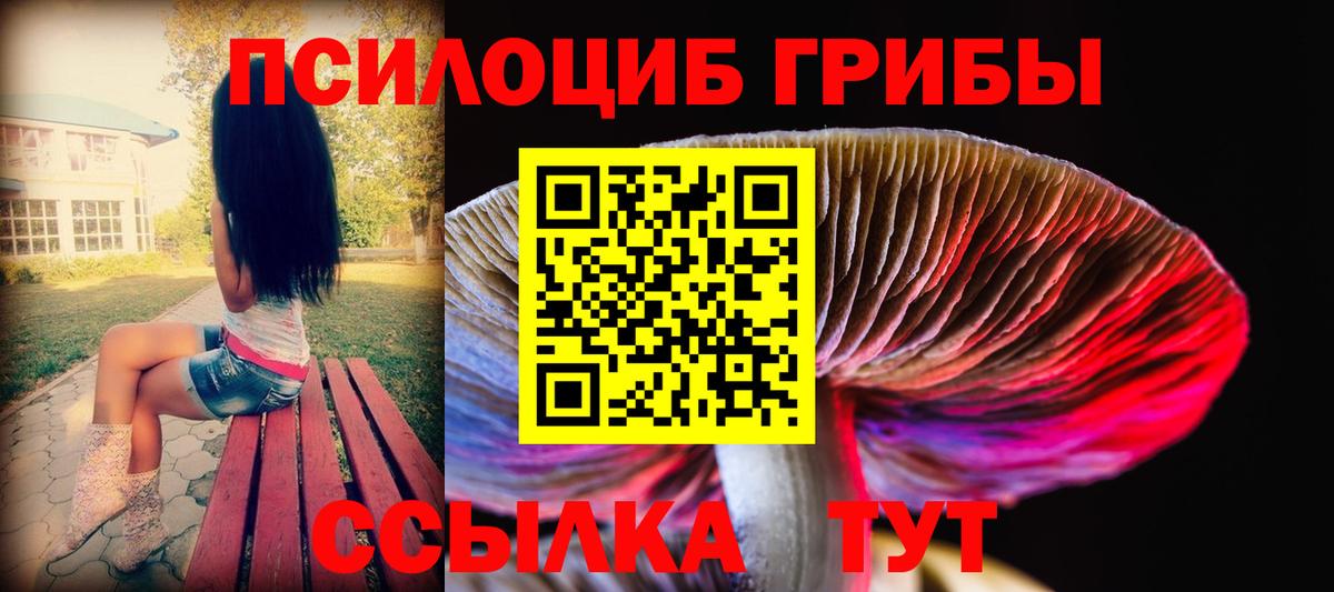 Галлюциногенные грибы GOLDEN TEACHER  Вход с VPN  Нижний Новгород 